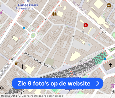 Room to rent in charming 3-bed apartment in central Brussels - foto 1