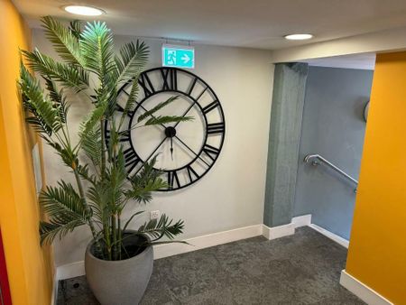 Redcliffe Backs - Photo 3