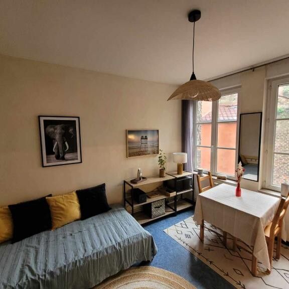 Location Appartement 1 pièce 15m² VALENCIENNES 59300 - Photo 1