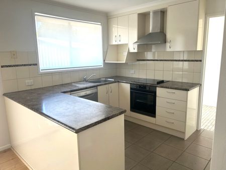 3 Budginigi Place, Thurgoona NSW 2640 - House For Rent | Domain - Photo 4