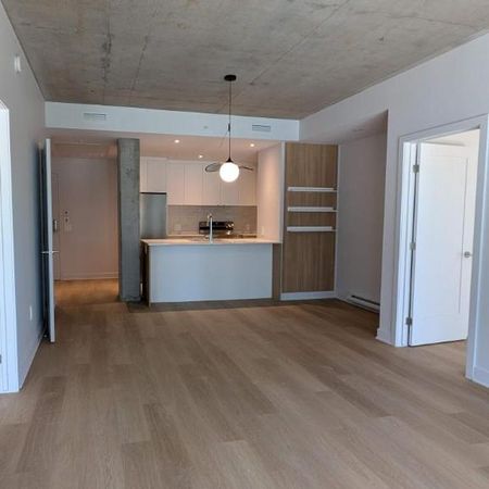 2 CH - 1 SDB - Montreal - $2,255 /mo - Photo 4