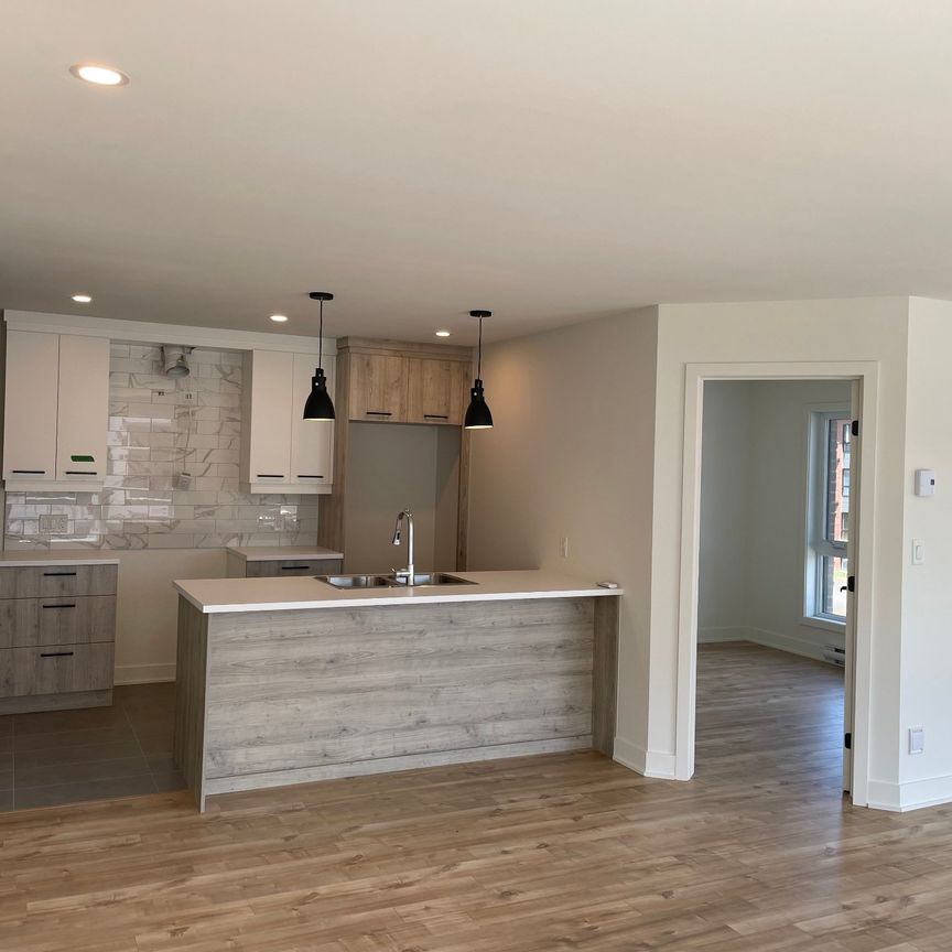 3720 Rue Médard Émard, Longueuil (Saint-Hubert), QC J3Y - Photo 1