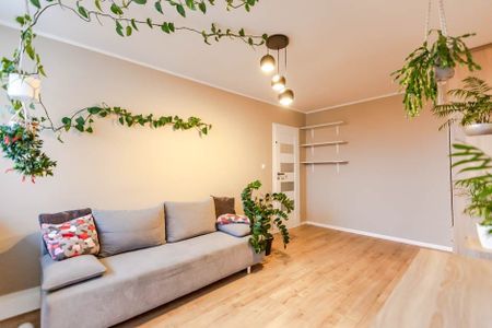 Do wynajęcia 3 pokoje w centrum Zielonej Góry! 48 m² - Фото 2