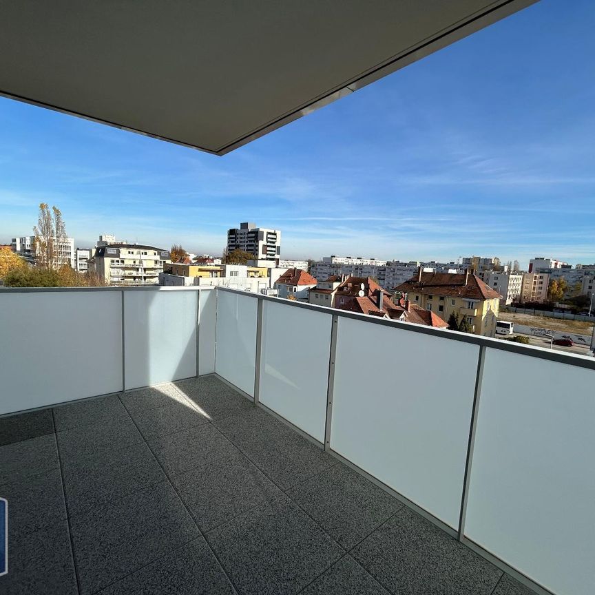 Location Appartement 3 pièces 58m² SCHILTIGHEIM 67300 - Photo 1