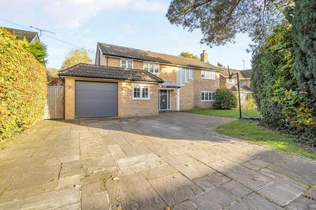 Shaftesbury Road, Woking - 5 bedrooms Property for lettings - Seymours - Photo 5