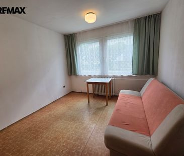 Pronájem bytu 1+1 v osobním vlastnictví 40 m², Opočno - Fotografie 2