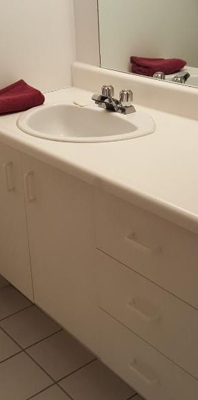 Grand 4 1/2 entièrement rénové pour juillet - Photo 1