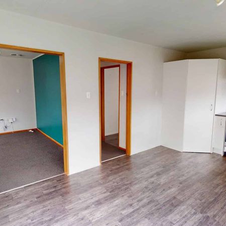 Feilding - 3 Bedrooms - Photo 4