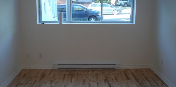 Montréal Semi Sous-sol Grand 3 1/2 - Photo 2