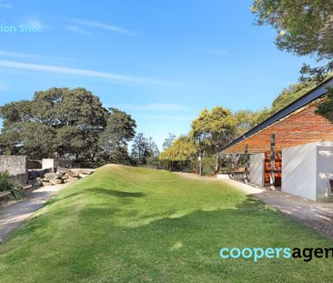 Let the sun shine in - Photo 4