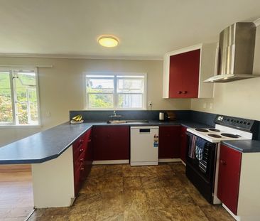 31 Murphy Street, Toi Toi, Nelson - Photo 5