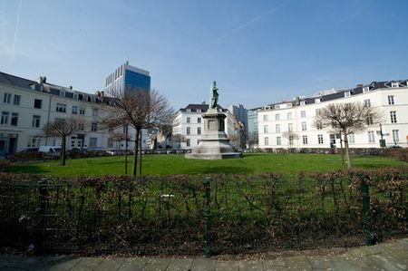 Möblierte Wohnung in Brüssel Schuman, EU-Bezirk - Foto 2