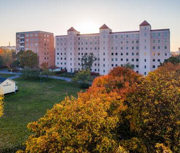 Norra Kronans Gata 427 - Foto 3