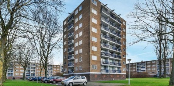 Zuidervaart 0ong, 1504 Zaandam, Nederland - Foto 2