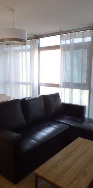 Location Appartement 2 pièces 47m² BORDEAUX 33300 - Photo 1