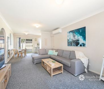 3/2 Teramby Road, Hamilton - Photo 3