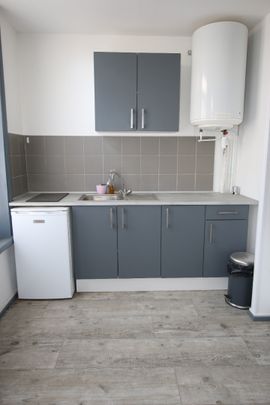 Location Appartement 1 pièce 26m² LILLE 59000 - Photo 1