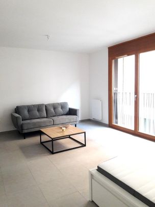 Location appartement T1 à BAYONNE | 39 m - Photo 1