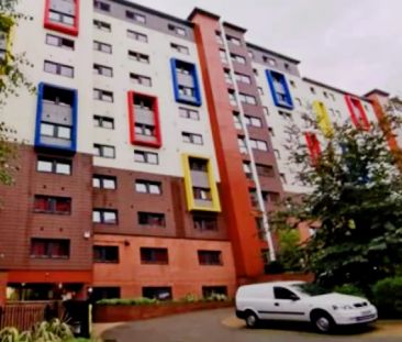 Large Studio - Photo 1