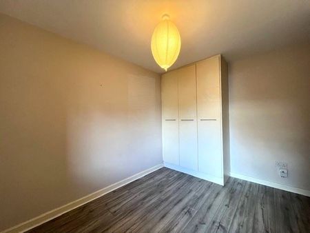 Charlesland Woods, Greystones, Co.Wicklow - Photo 5