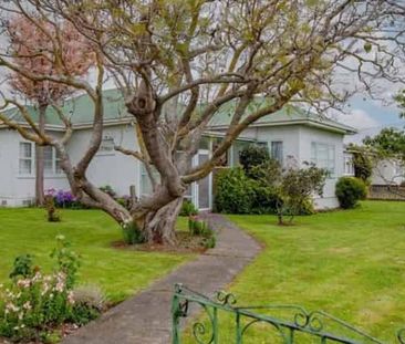 Character Home in the Heart of Taradale - Photo 5