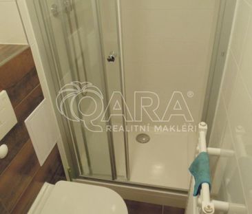 Pronájem bytu 1+kk 12 m2 - Fotografie 3