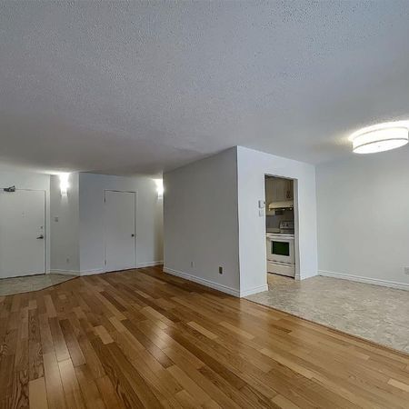 Condo 4 1/2( lumineux, rénové de 2 chambres près de l’Université Laval – 1495$/mois. Disponible dès le 15 juin 2026. Cinq électroménagers inclus. - Photo 3