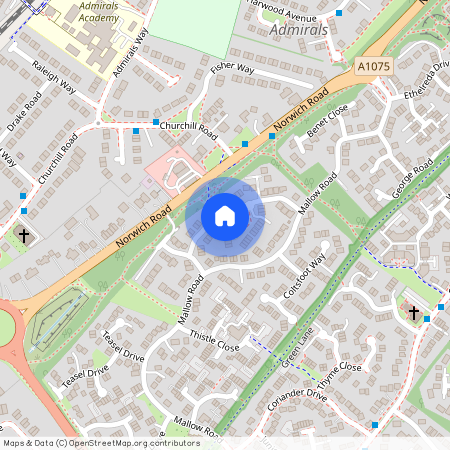 Celandine Close, Thetford