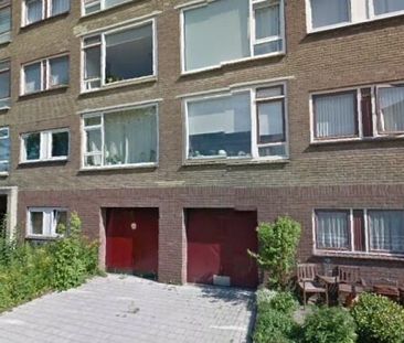 Looplantsoen 0ong, 3523 Utrecht, Nederland - Foto 3