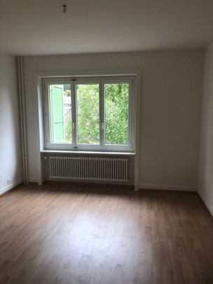 Charmantes 3-Zimmer-Wohnung mit Blick auf die Natur in Le Locle - Photo 1