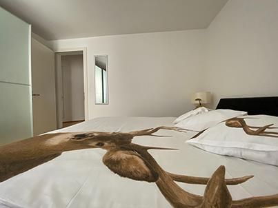 P immed. YouTube Kiwi Homes Basel Channel - LOCATIONS QUOTIDIENNES à partir de chf 225 - Foto 3