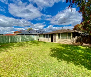 Freshly Painted 3 Bedroom Home - Photo 1