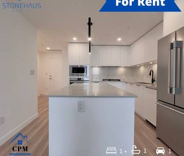 BRAND NEW 1 BED 1 BATH - TOWERS (PET FRIENDLY) - Photo 4