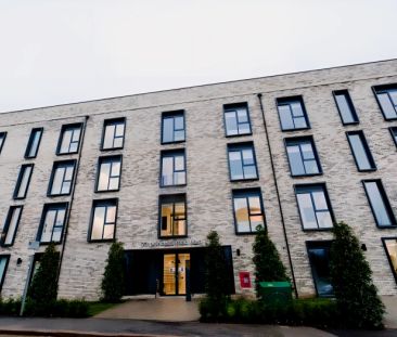 Classic Bigger Studio - Photo 2