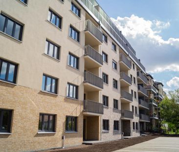 Friedensstraße 41, 01097 Dresden - Photo 1