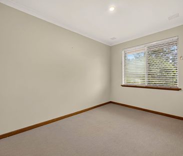 Big Backyard - Great Location - Photo 4