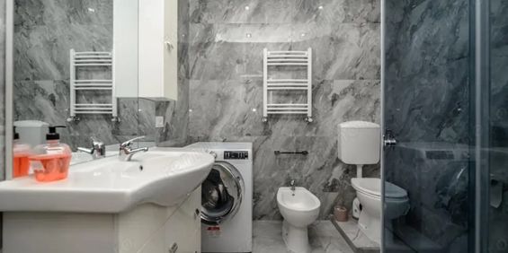 Inchiriere o garsonieră în zona Herăstrău - Fotografie 3