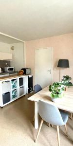 Location Appartement 2 pièces 42m² LAVAL 53000 - Photo 4