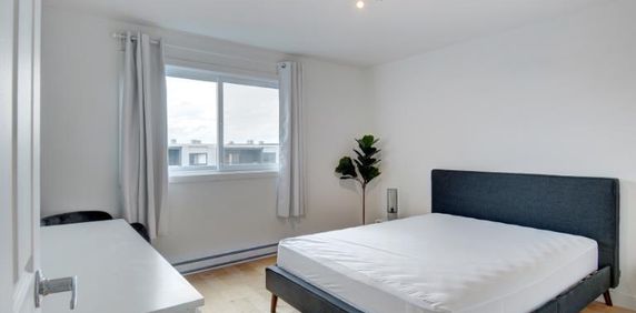 Appartement 3 ½ à louer Sainte-Foy / Sillery juillet 2026 - Photo 2