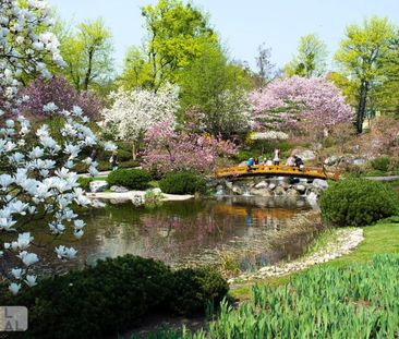 NÄHE HOHE WARTE - HELLE UND RUHIGE WOHNUNG MIT GARTENNUTZUNG - Photo 4
