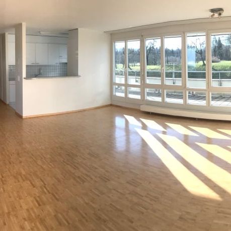 "Über den Dächern von Hinwil" - Foto 1