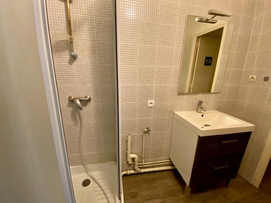 Location Appartement 1 pièce 25m² ORLEANS 45000 - Photo 1