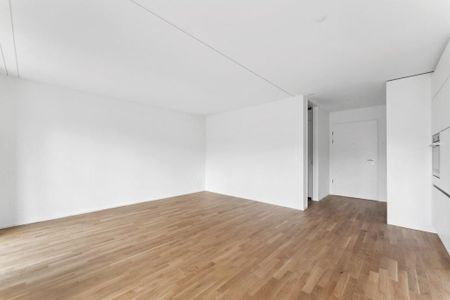 Urbaner Charme in Zürich Wiedikon - Foto 2