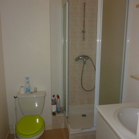 Location Appartement 1 pièce 23m² TOURS 37100 - Photo 3