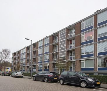 Vegelinsoord 0ong, 3079 Rotterdam, Nederland - Photo 1