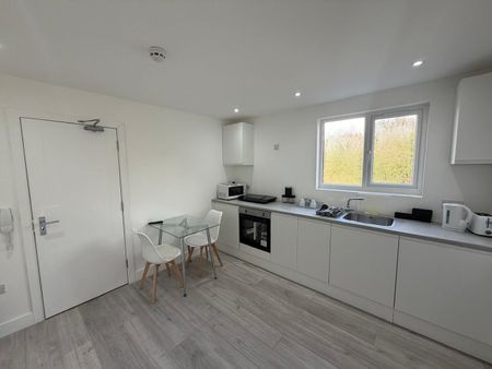 1 Bed Flat, Hill House Road, SW16 - Photo 3