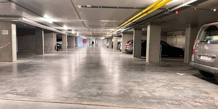 Woning te huur in Meeuwen voor € 850 met 1 slaapkamer - Photo 5