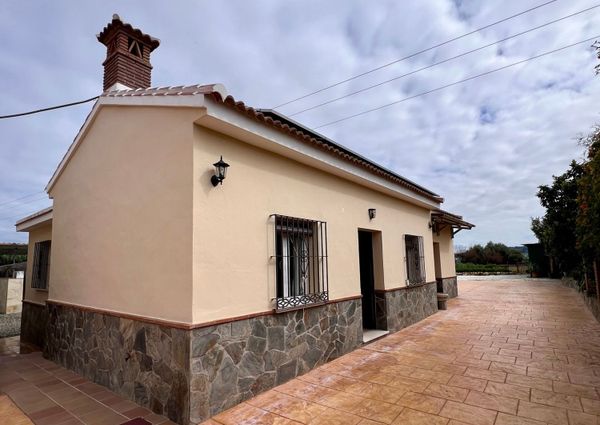 Alquiler de finca rústica en Calle Cruz de San Roque, 59