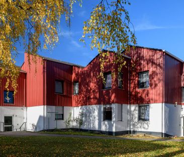 1-Zimmer Wohnung in Harpen für Senior*innen mit WBS - Foto 1