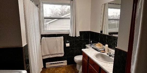 5 1/2 à louer janvier 2026, 1230$/mois - Photo 3